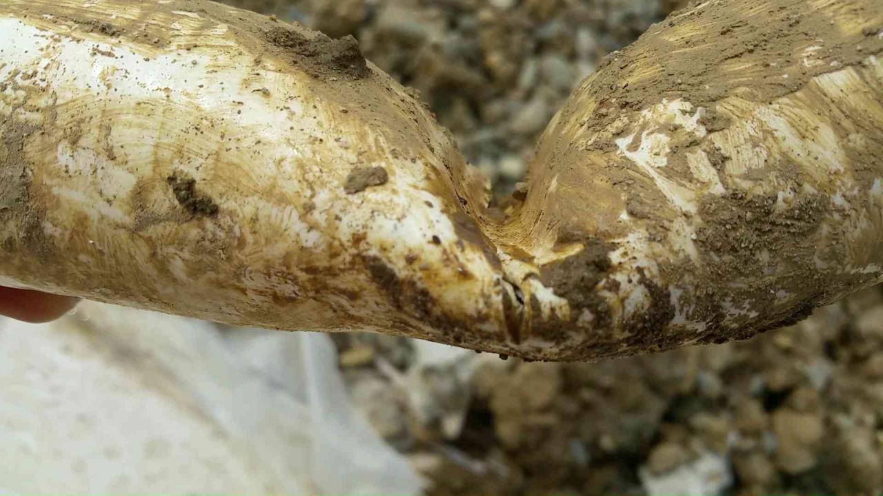 canalisation d'un skimmer bouché