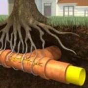 Comment détruire des racines dans les canalisations