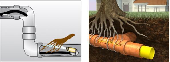 Débouchage canalisation racine : comment déboucher !